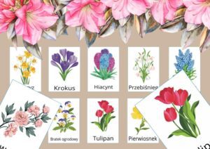 wiosenne kwiaty karty