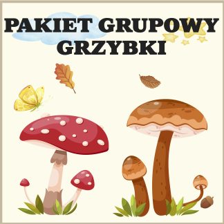 Zestaw na rozpoczęcie roku – Grzybki