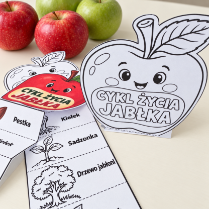 Cykl życia jabłka – karta do wycinania i składania z harmonijką pokazującą etapy od pestki do dojrzałego jabłka